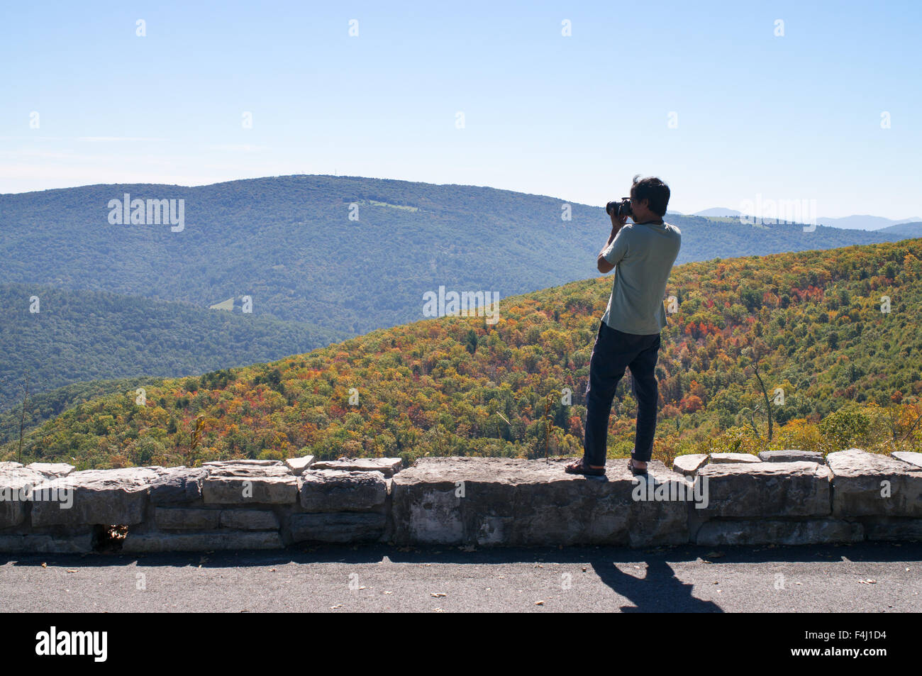 A photographer shoots across the Shenandoah valley from the Skyline Drive, Shenandoah National Park, Virginia, USA Stock Photo