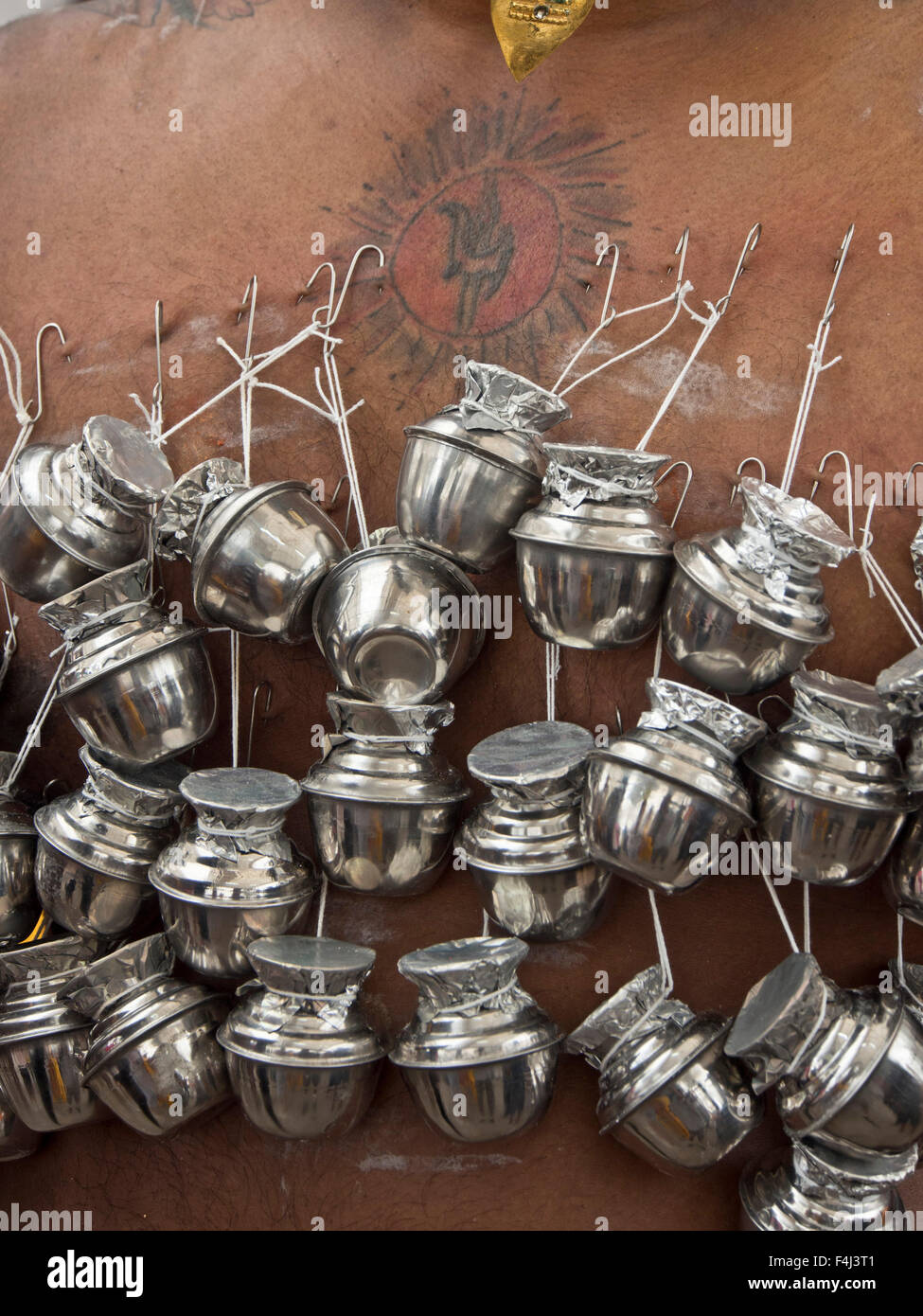 Body piercings on chest of devotee, Thaipusam Hindu Tamil festival ...