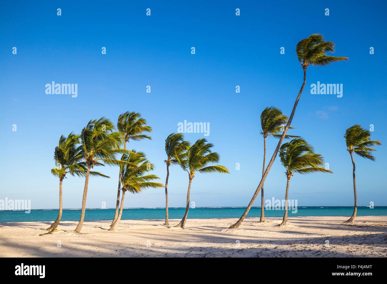 Juanillo Beach, Cap Cana, Punta Cana, Dominican Republic, West Indies, Caribbean, Central