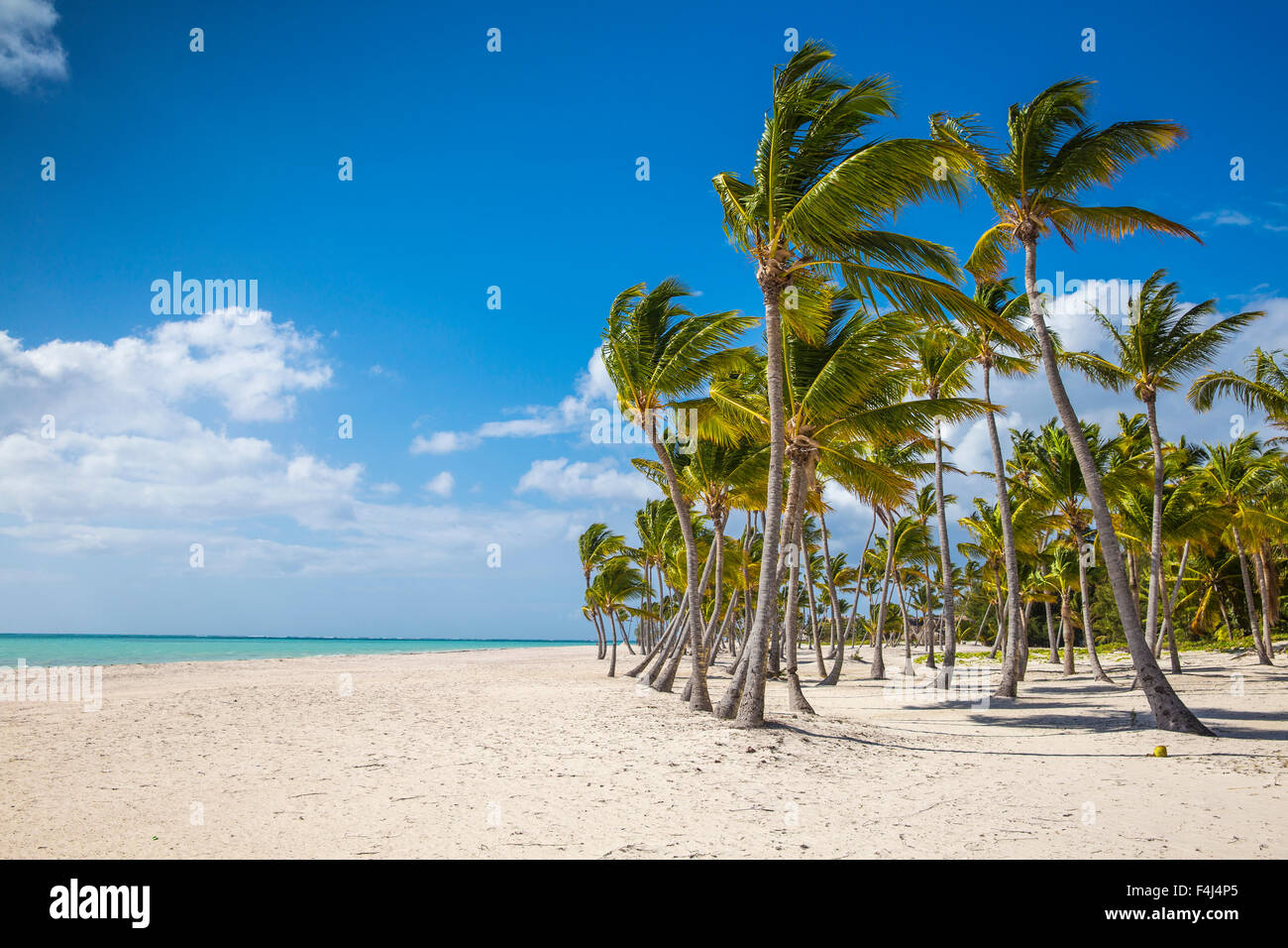 Juanillo Beach, Cap Cana, Punta Cana, Dominican Republic, West Indies, Caribbean, Central America Stock Photo