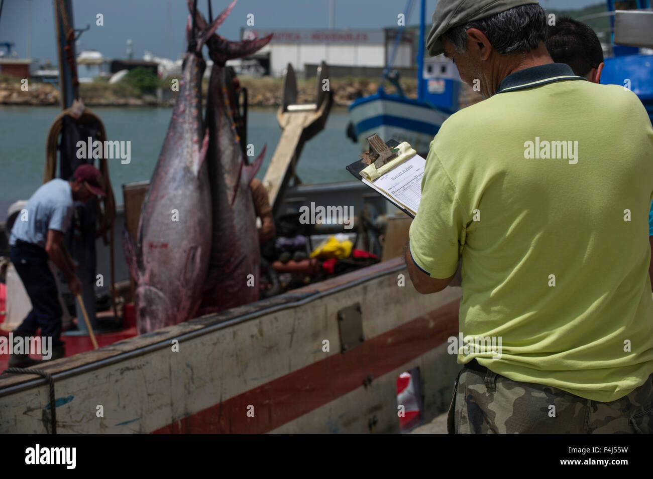 Almadraba fishery of migrating Atlantic Bluefin tuna which has a strict quota system for its catch, Andalucia, Spain Stock Photo
