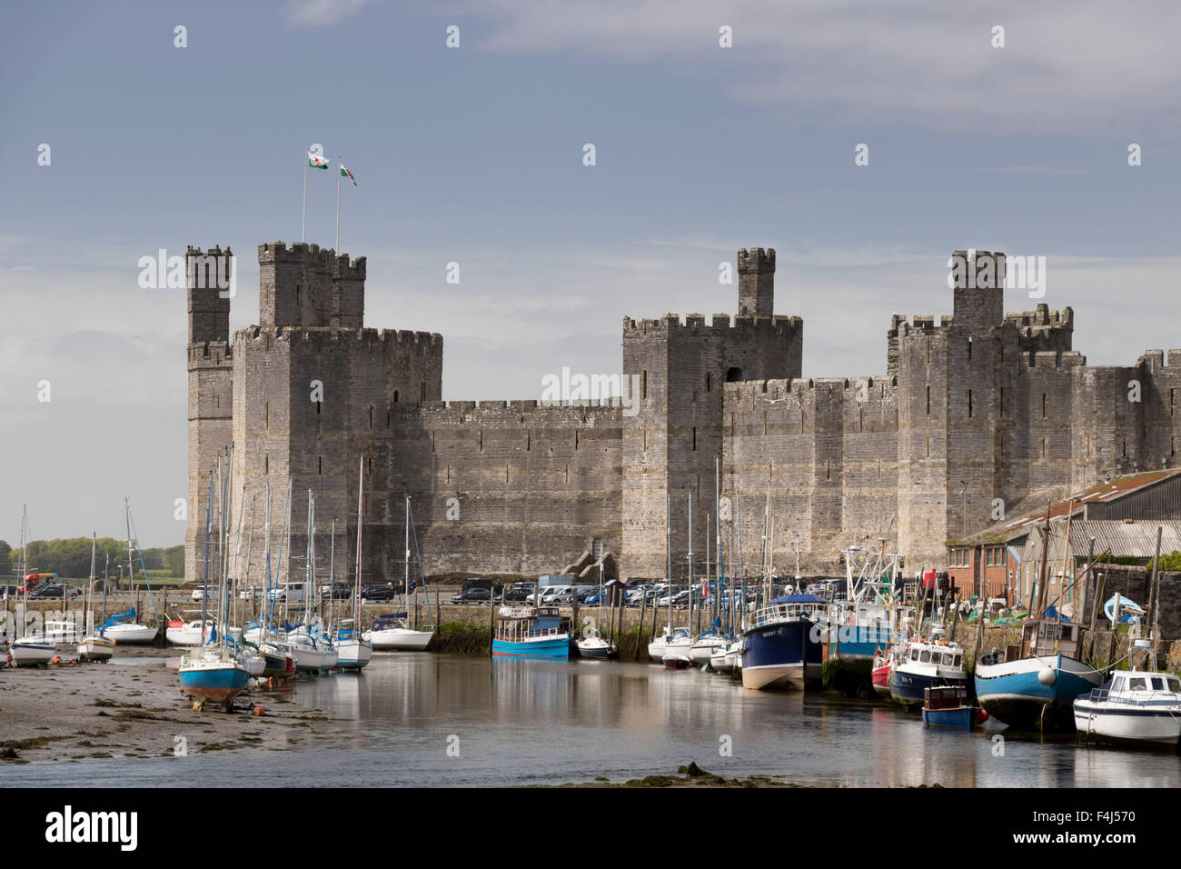 Caernarfon Castle from the southeast, UNESCO World Heritage Site, Wales, United Kingdom, Europe Stock Photo