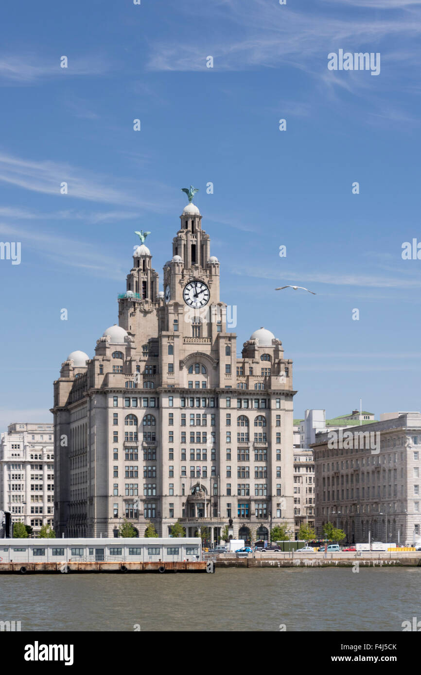 The Royal Liver Building from the Mersey, UNESCO World Heritage Site, Liverpool, Merseyside, England, United Kingdom, Europe Stock Photo
