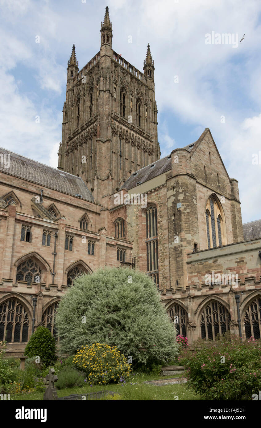 Tower and South transept from cloister garth, Worcester Cathedral, Worcester, England, United Kingdom, Europe Stock Photo
