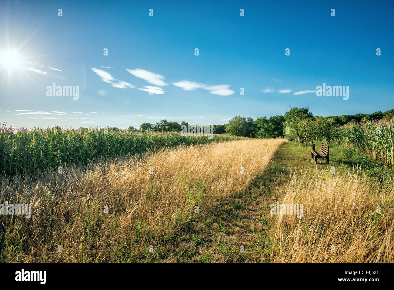 HDR capture of a secluded spot in the hills, with a wooden bench facing ...