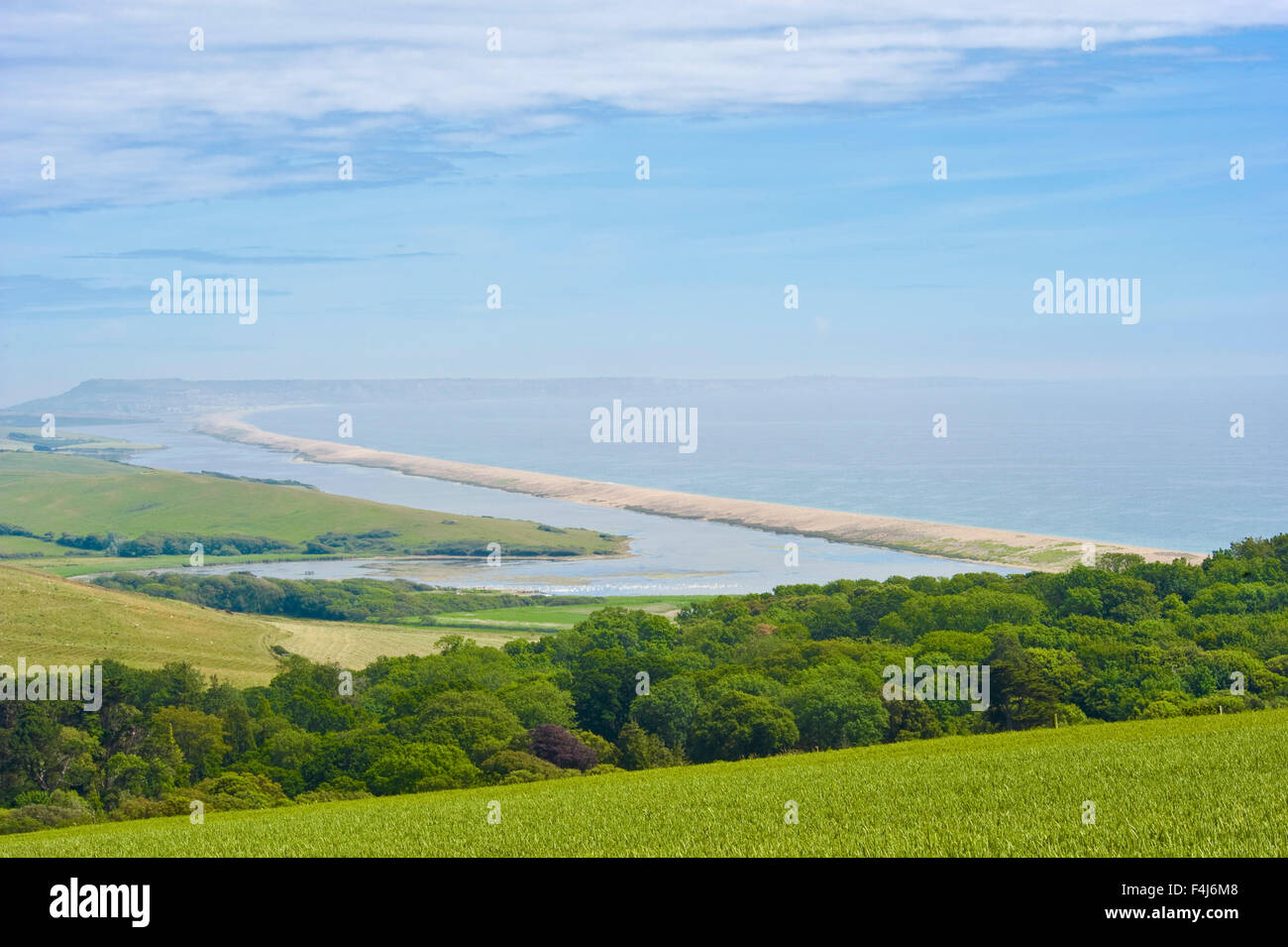 Chesil beach, Dorset - Stock Image - E280/0343 - Science Photo Library