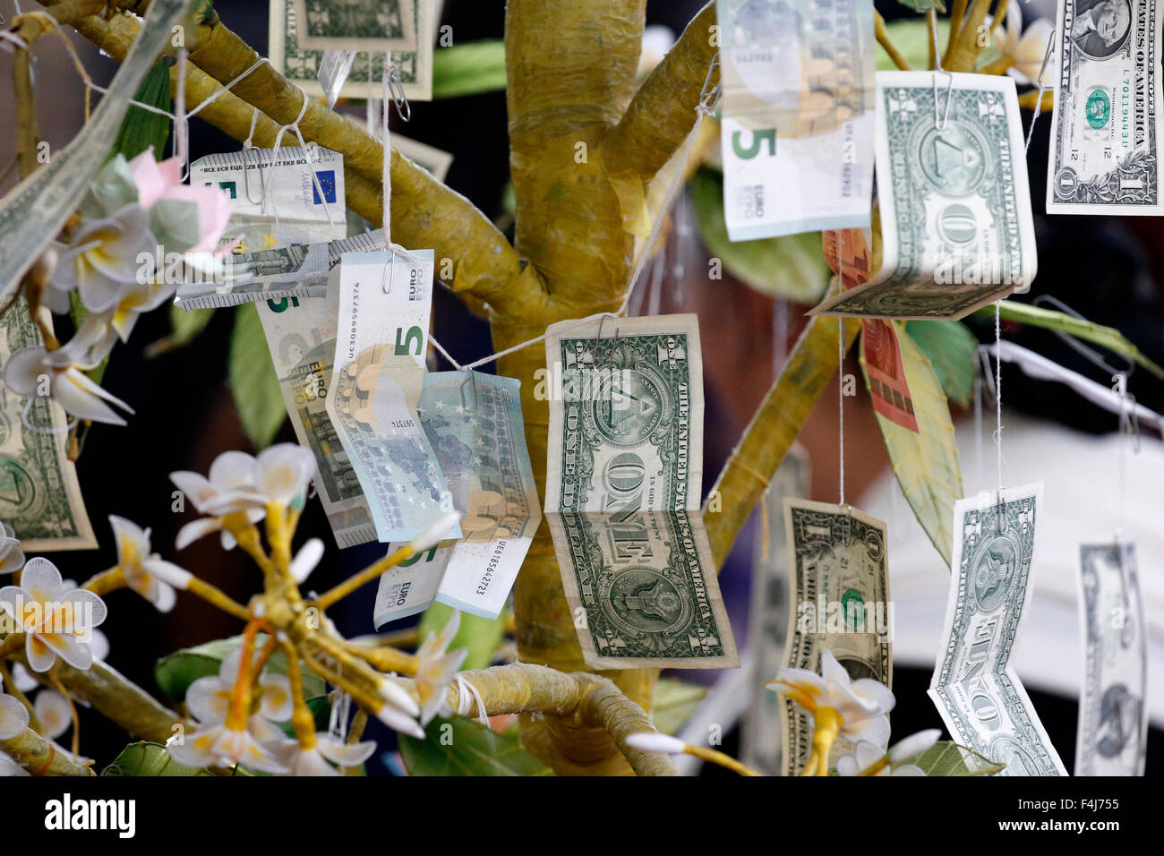 Money Tree Stock Photos Money Tree Stock Images Alamy - buddhist money tree to make merit and donate to local temple wat velouvanaram bussy