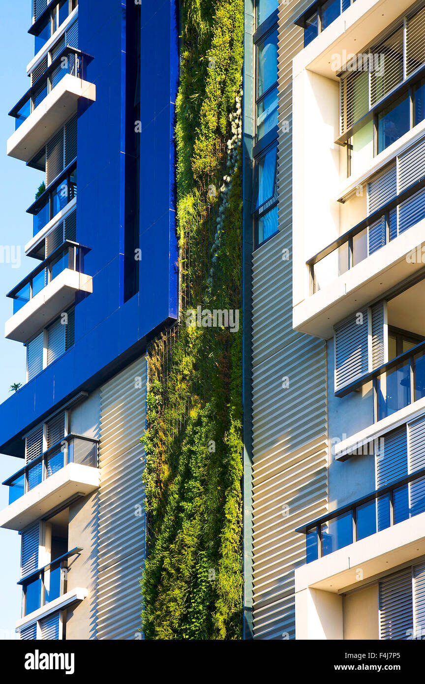 Patrick Blanc, a French botanist, has created his tallest vertical garden at a residential development in Sydney. Stock Photo