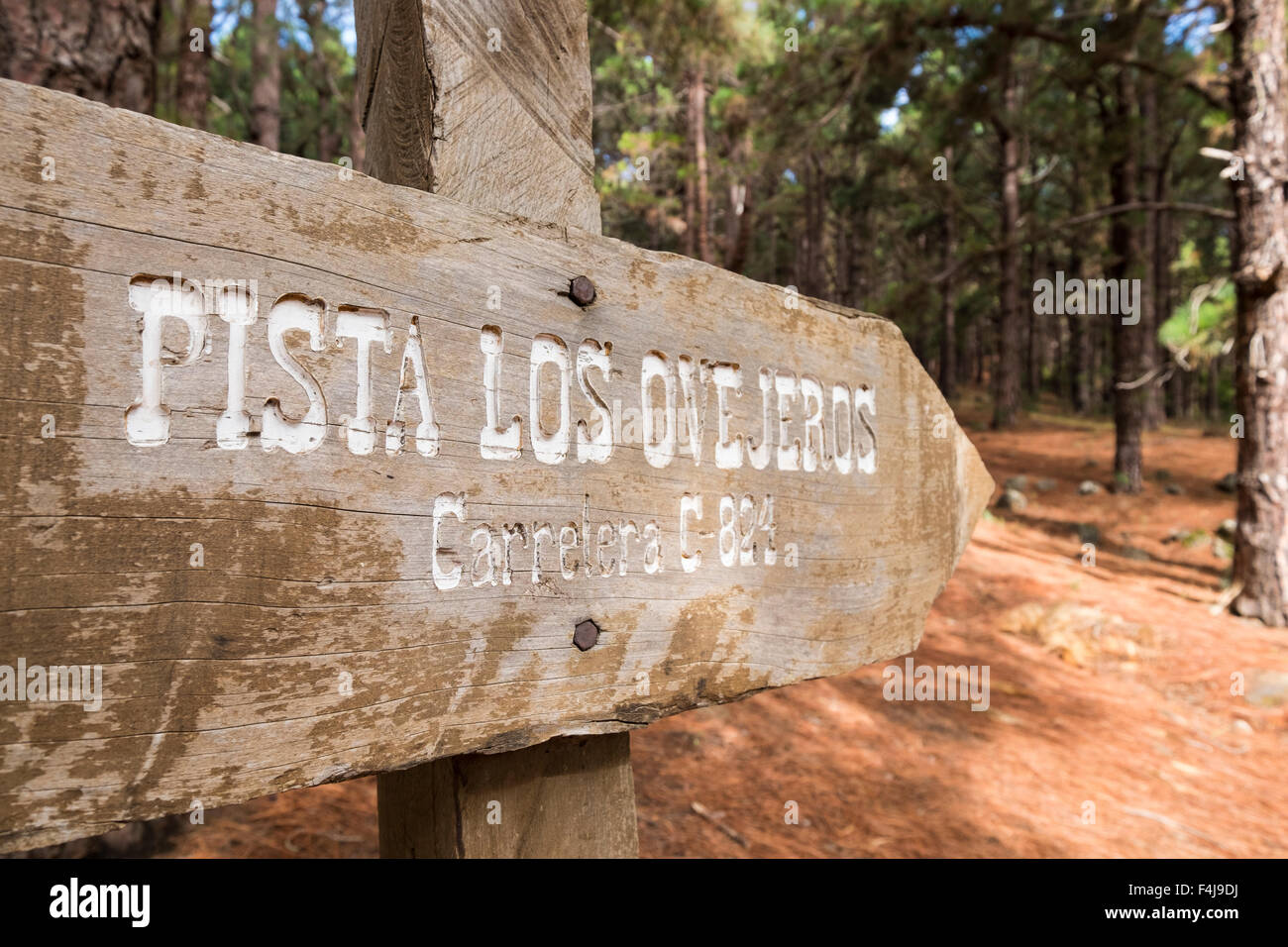 Walking route through the forest at La Esperanza, Tenerife, Canary Islands, Spain. Stock Photo