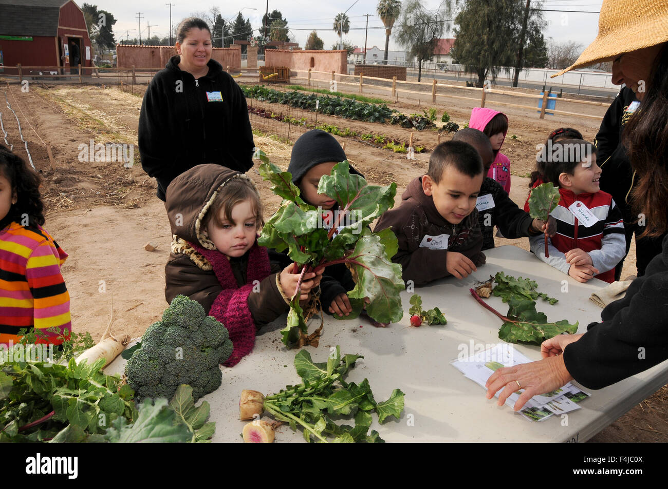 Elementary School Students Learn About Gardening At Tucson Village