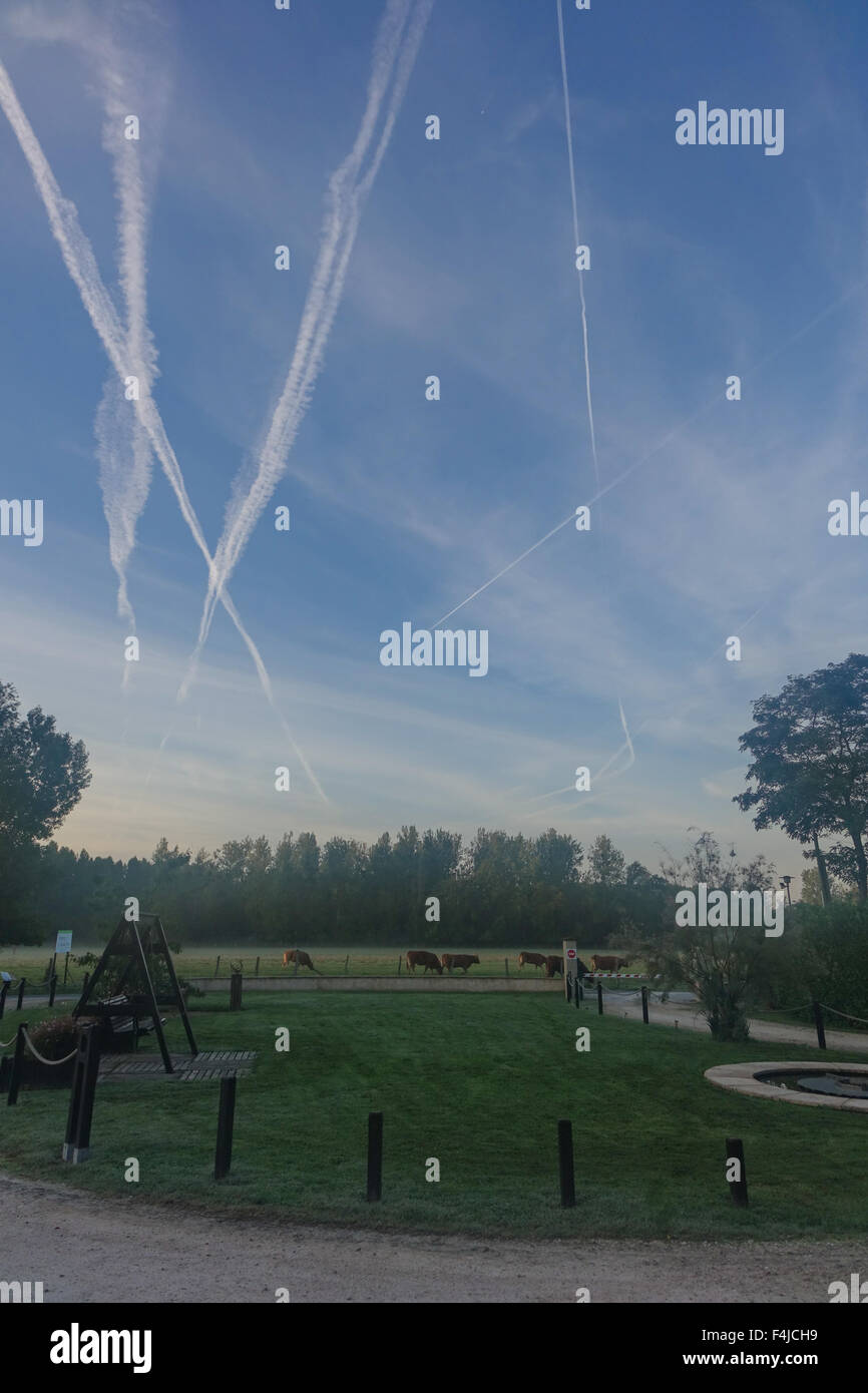 Chemtrails in the sky hi-res stock photography and images - Page 7 - Alamy, image size:866x1390