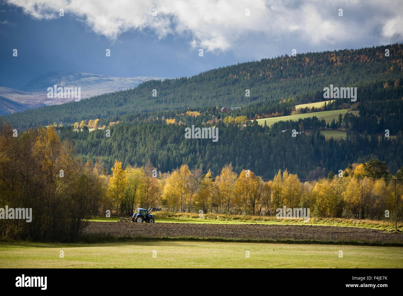 Tractor working in a field in the autumn, Norway. Stock Photo