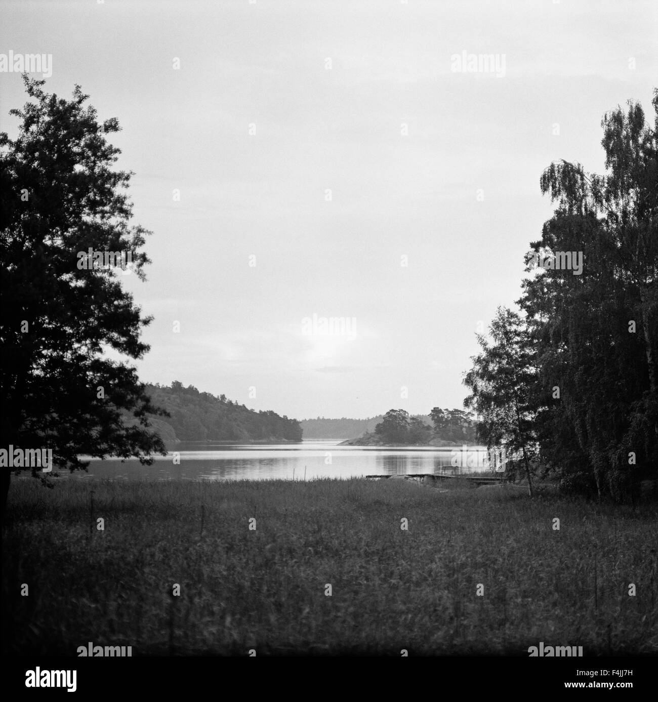 Landscape with lake Stock Photo - Alamy