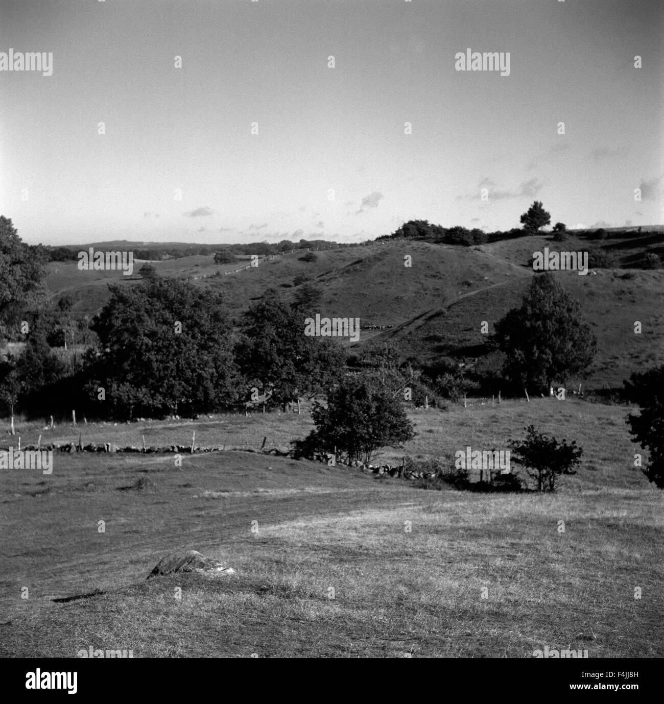 Rural Black and White Stock Photos & Images - Alamy