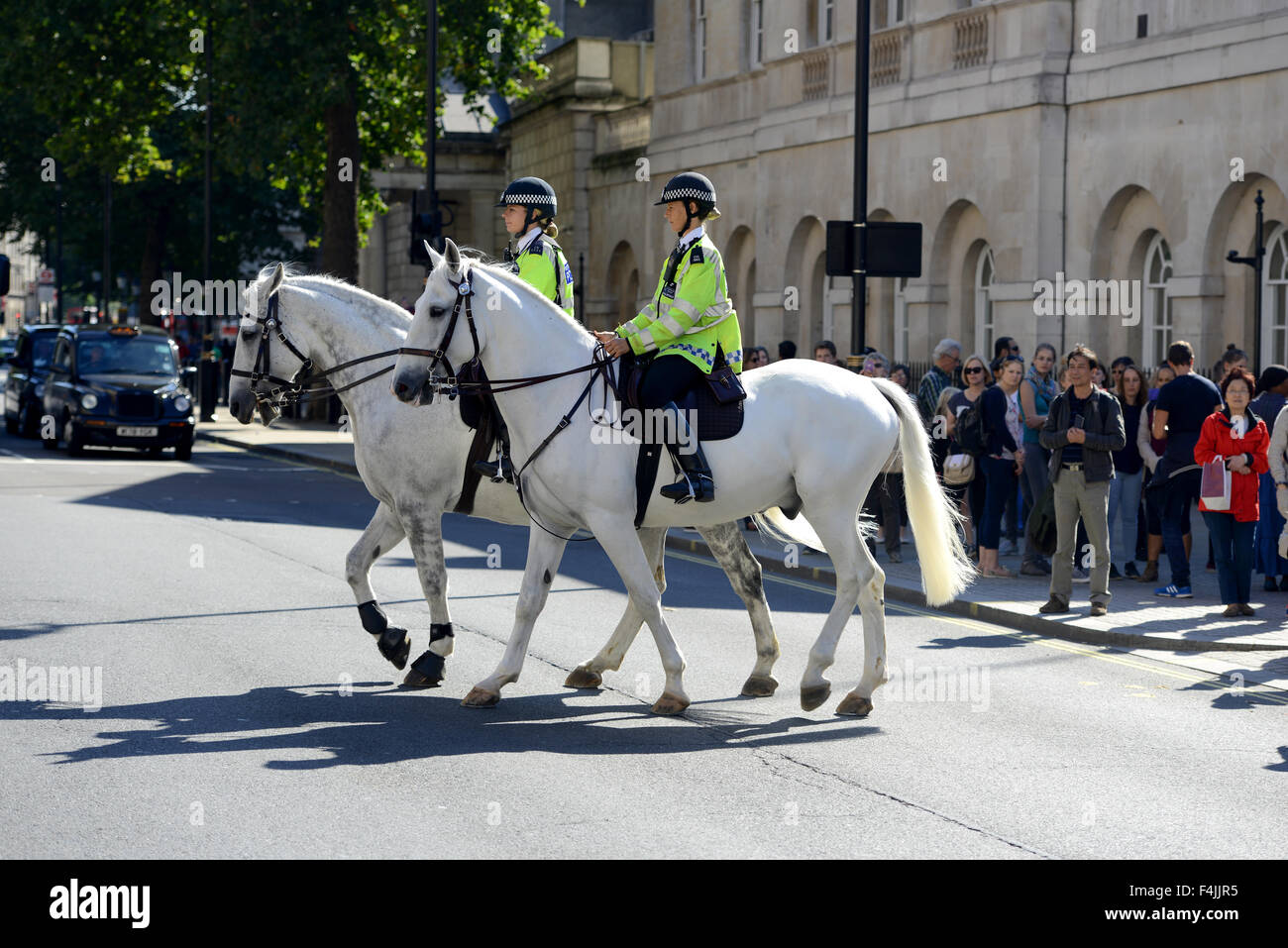 British police horses hires stock photography and images Alamy