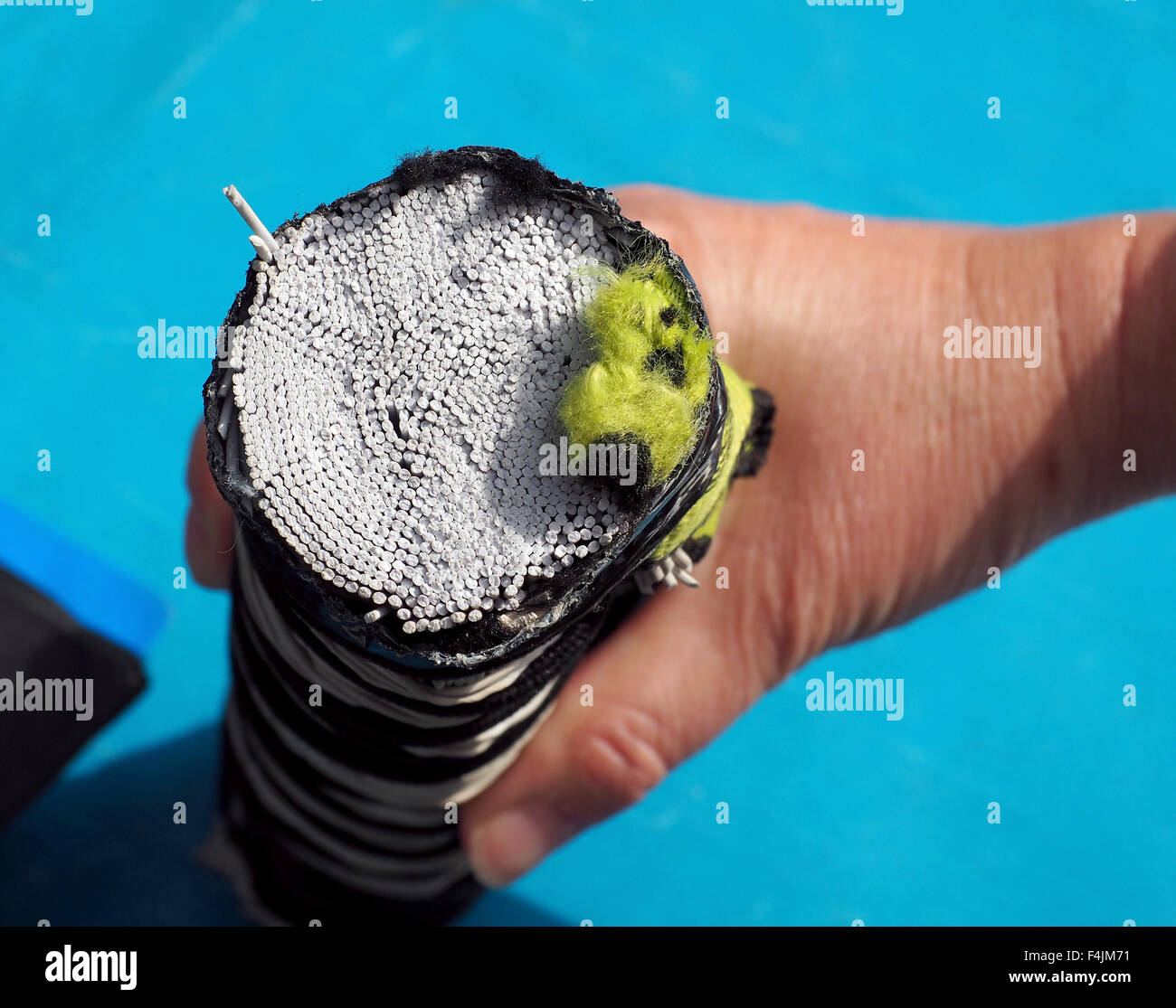 Bungee Rope. Bungee jumping rope cut open to show how it's made Stock Photo  - Alamy