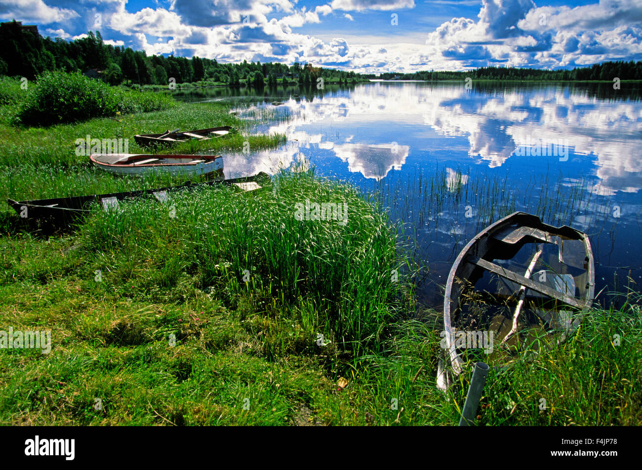 Rowing boats on lake Stock Photo - Alamy