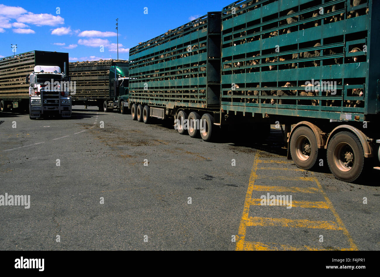 Livestock trucks hires stock photography and images Alamy