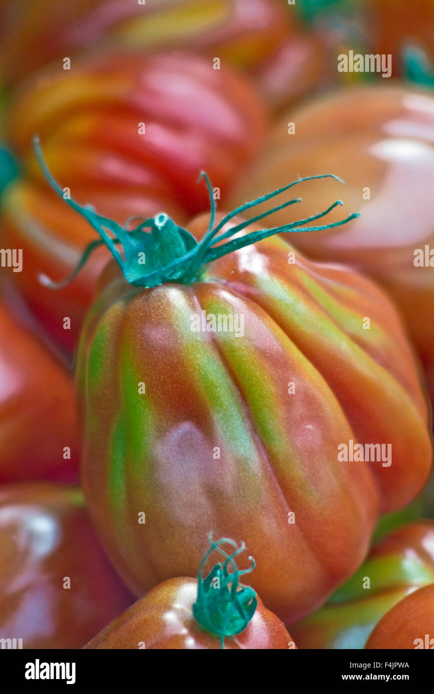 Beefsteak tomato in market Stock Photo Alamy