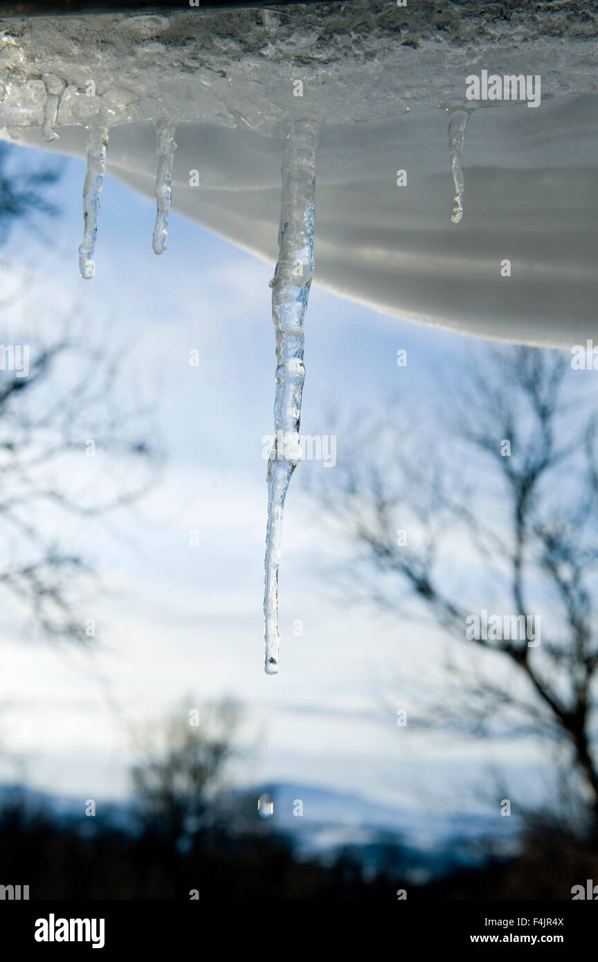 Hanging from roof hires stock photography and images Alamy
