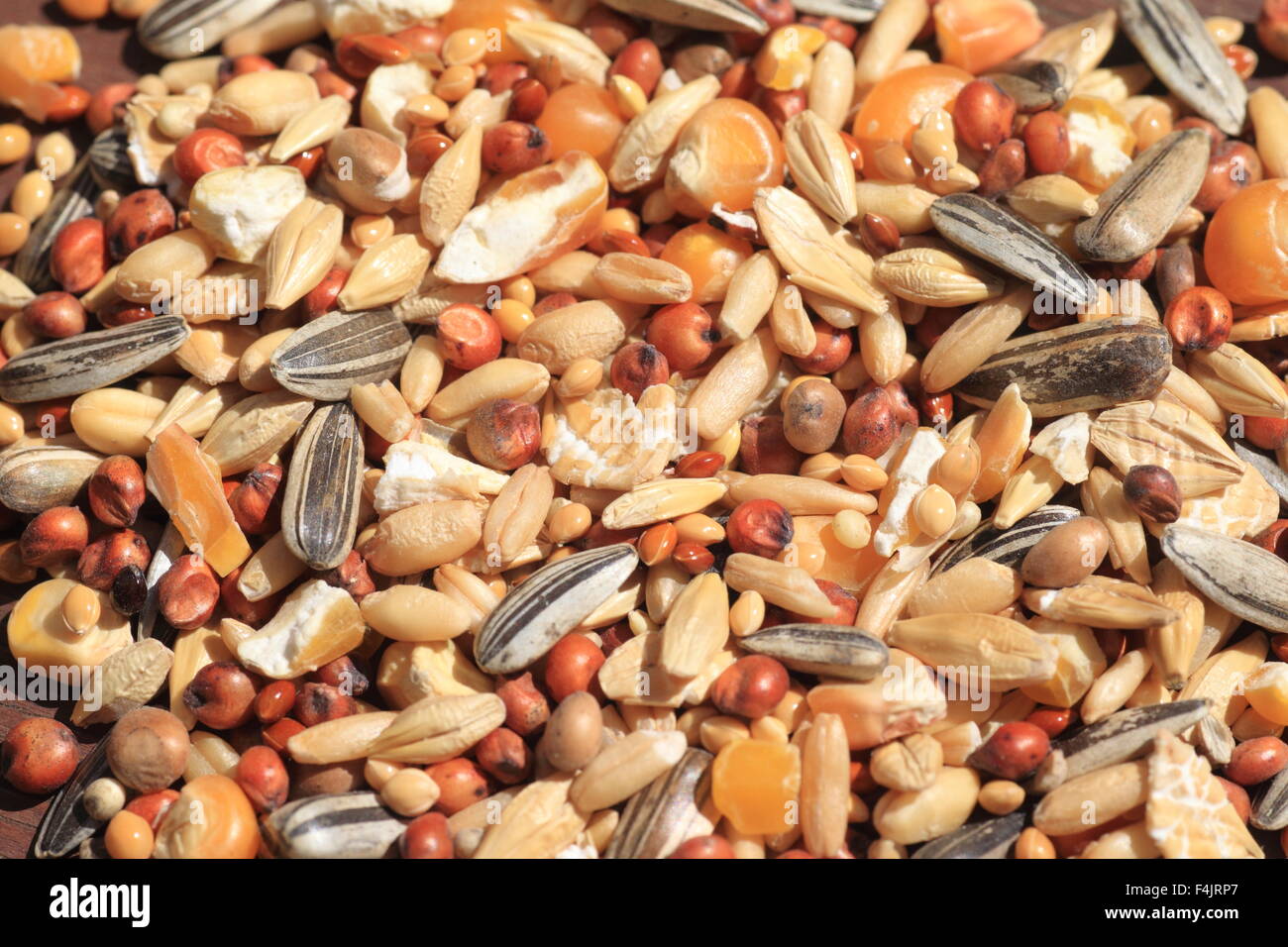 Hamster's food, including oats, corns,herbs Stock Photo