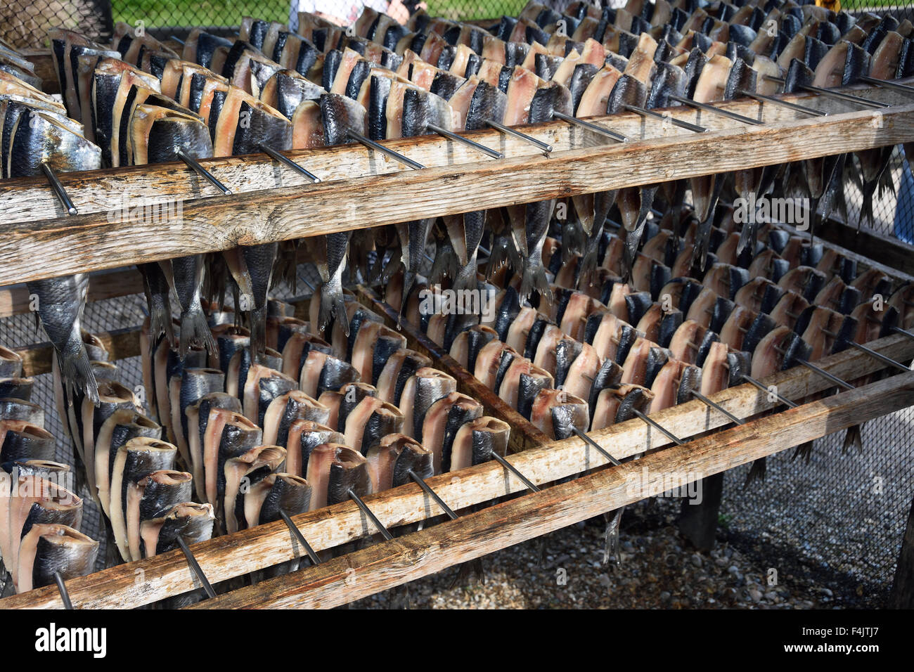 Smoking fish eel herring Zuiderzee Museum, Enkhuizen, Dutch museum