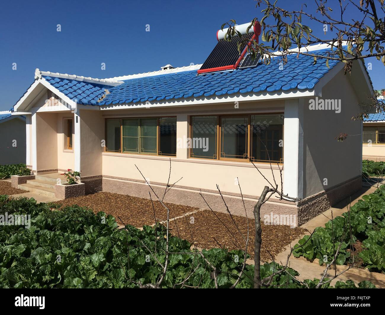 Pyongyang, North Korea. 12th Oct, 2015. Newly renovated houses, part