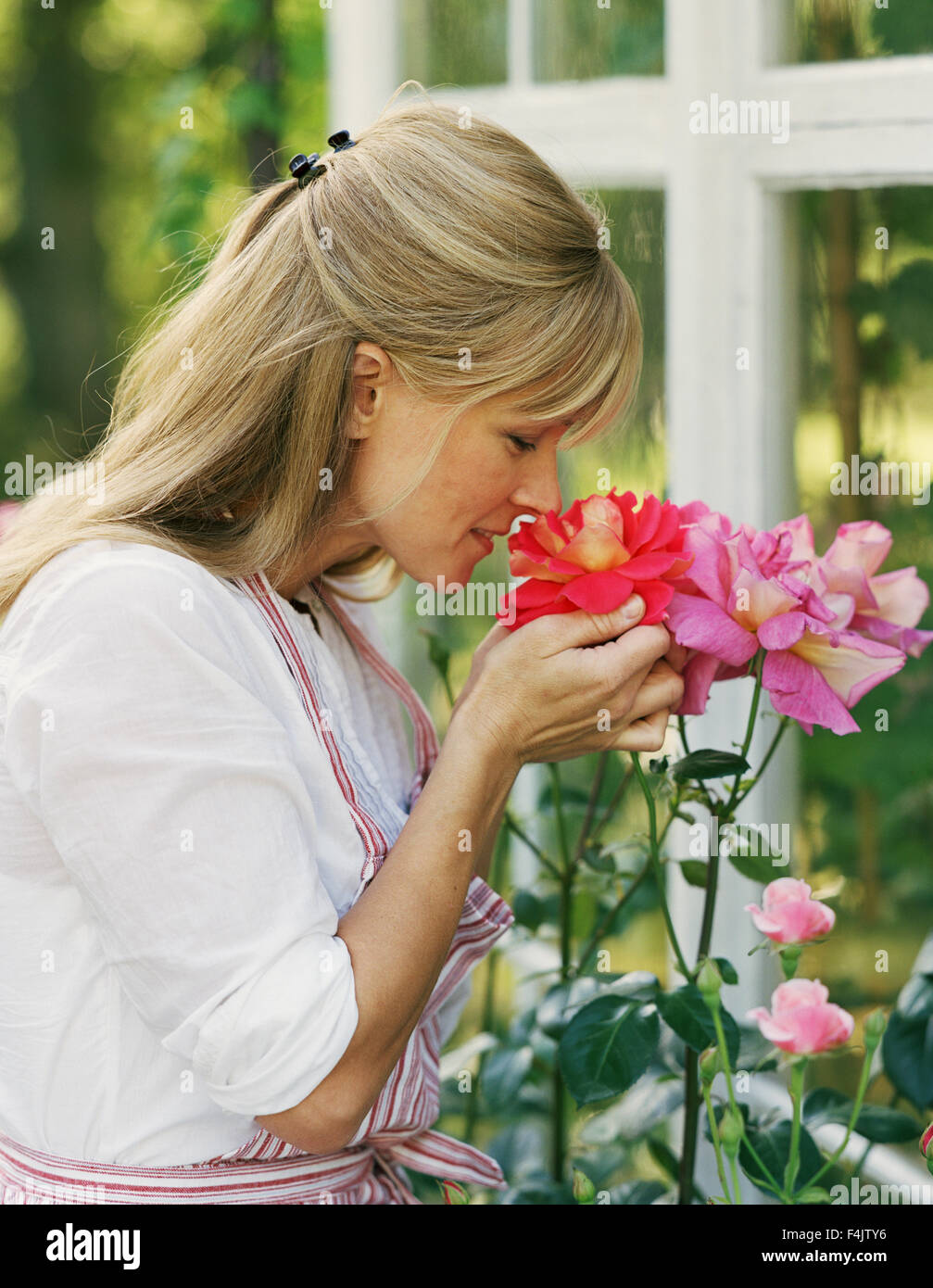 Woman smelling roses Stock Photo - Alamy