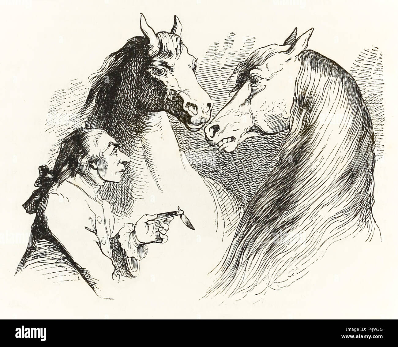 Gulliver converses with talking horses in Houyhnhnms Land from 'Gulliver's  Travels' by Jonathan Swift (1667-1745), illustration by J.J. Grandville  (1803-1847). See description for more information Stock Photo - Alamy