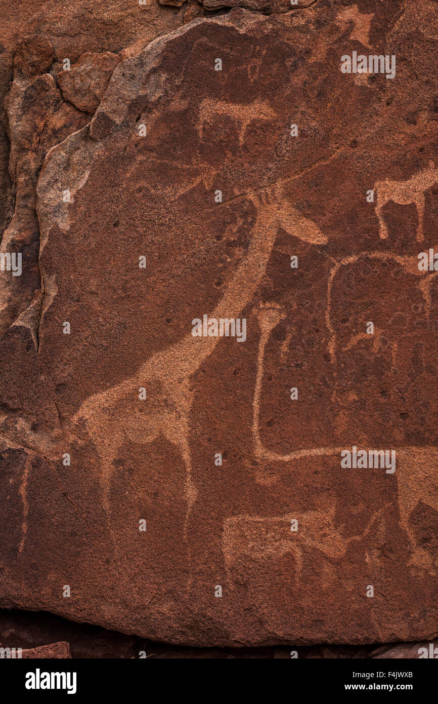 Petroglyph or rock engravings, Twyfelfontein, UNESCO World Heritage Site, Namibia, Africa Stock Photo