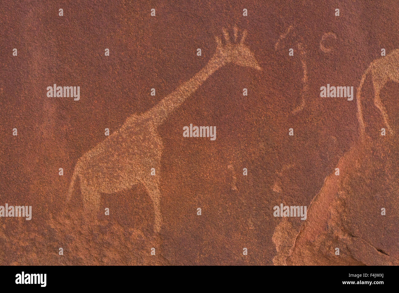 Petroglyph or rock engravings, Twyfelfontein, UNESCO World Heritage Site, Namibia, Africa Stock Photo