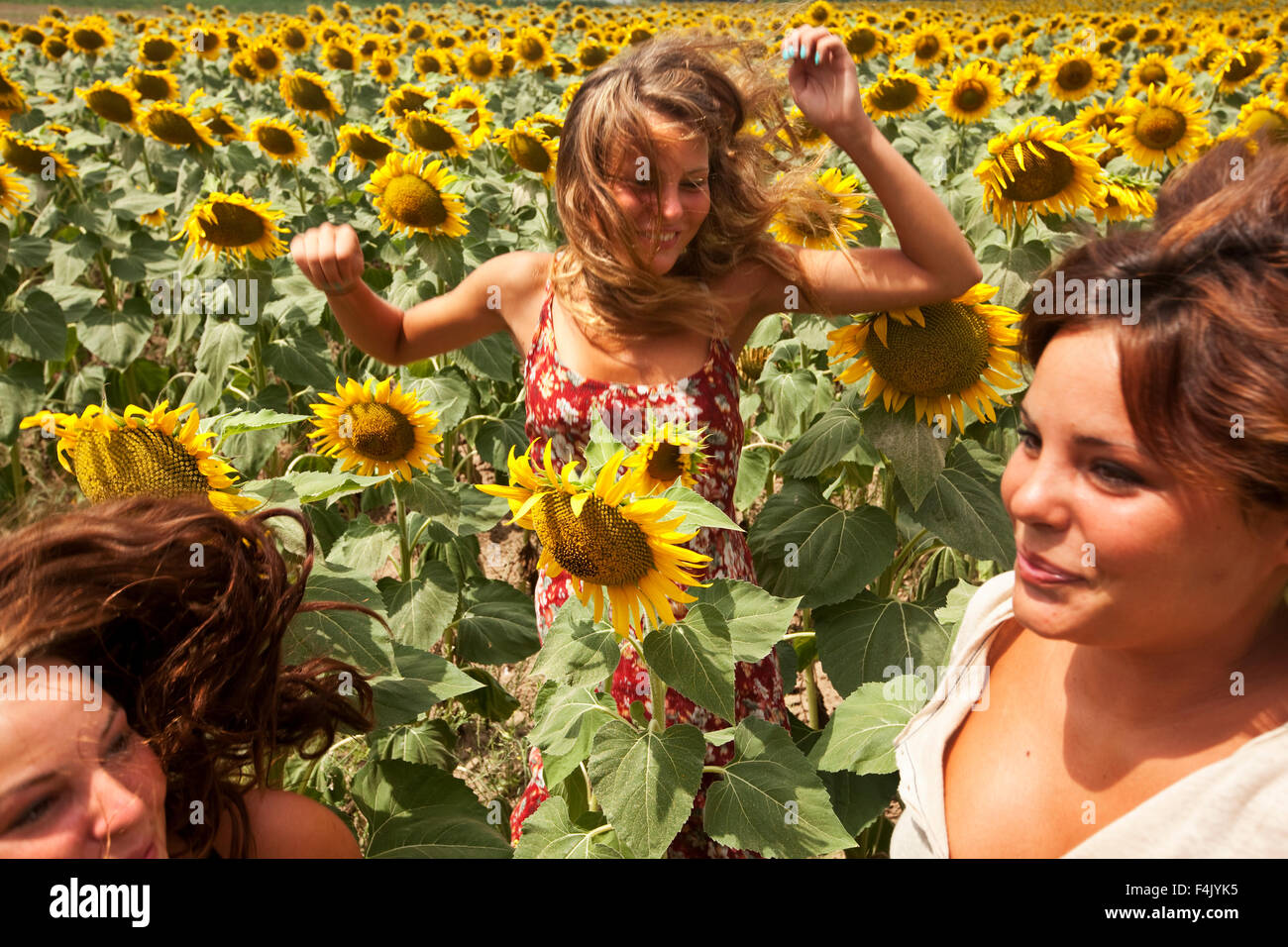 Teenage girls having fun in sunflower field Stock Photo