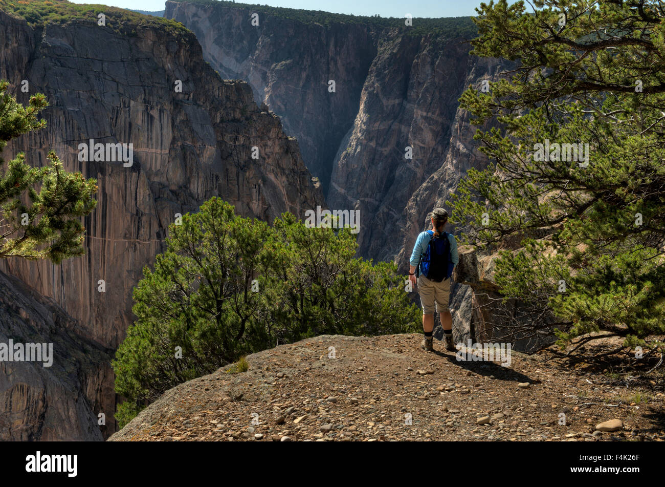 A visitor contemplates Colorado's Black Canyon of the Gunnison from the north rim Stock Photo