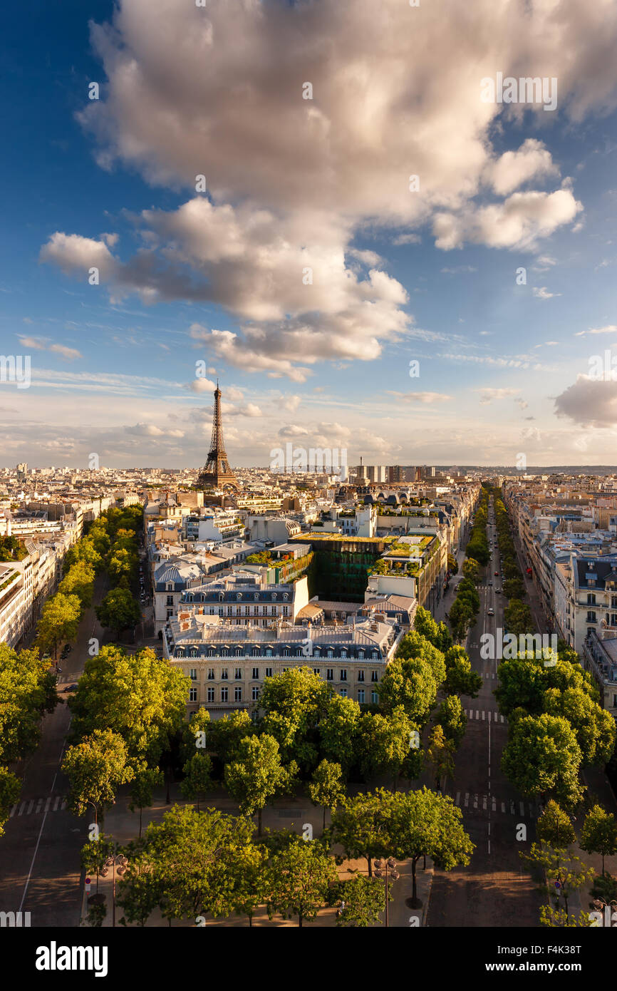 Paris from above: the famous Eiffel Tower and tree-lined Paris avenues (Iéna, Kleber) and their Haussmannian buildings. France Stock Photo