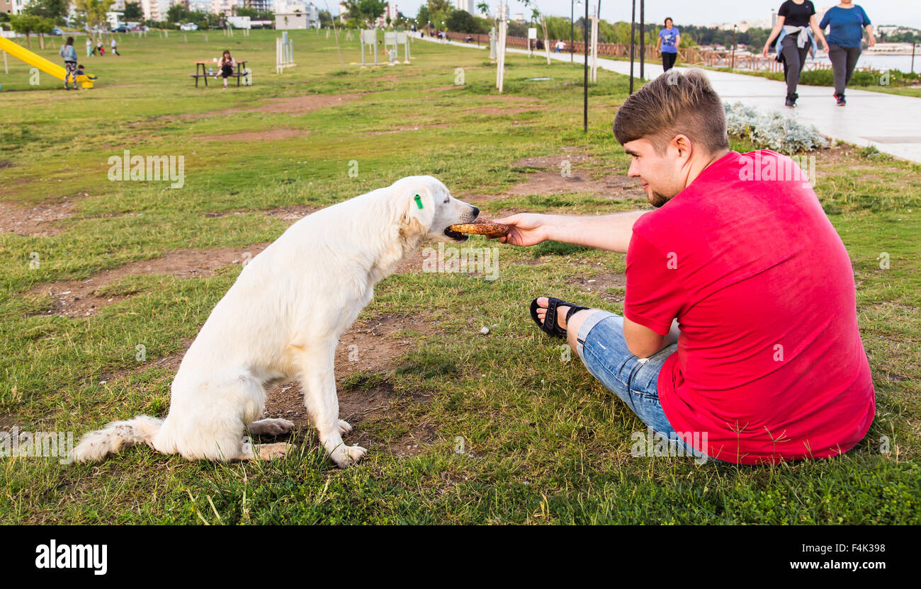 feeding homeless dog Stock Photo Alamy