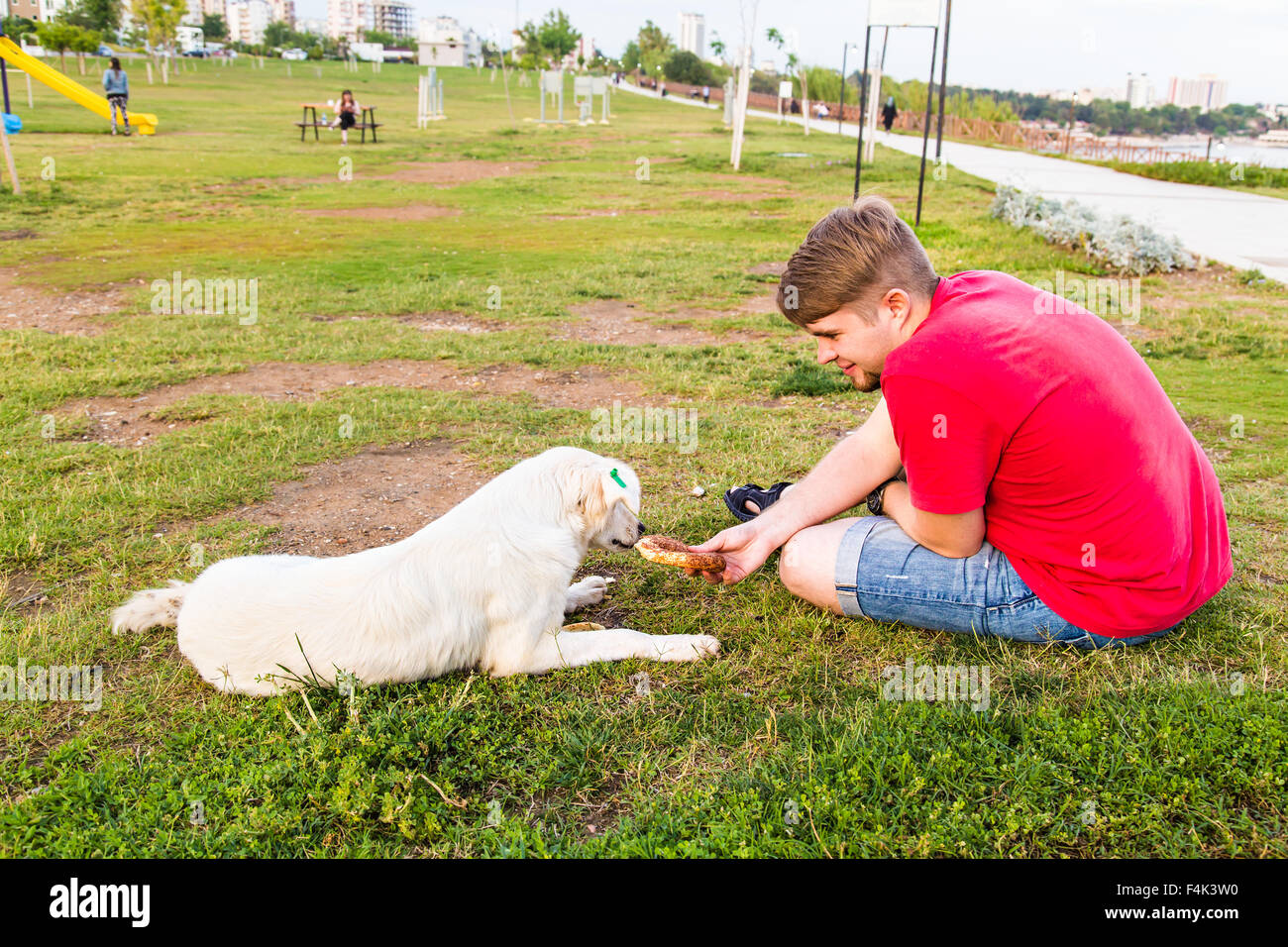 feeding homeless dog Stock Photo Alamy