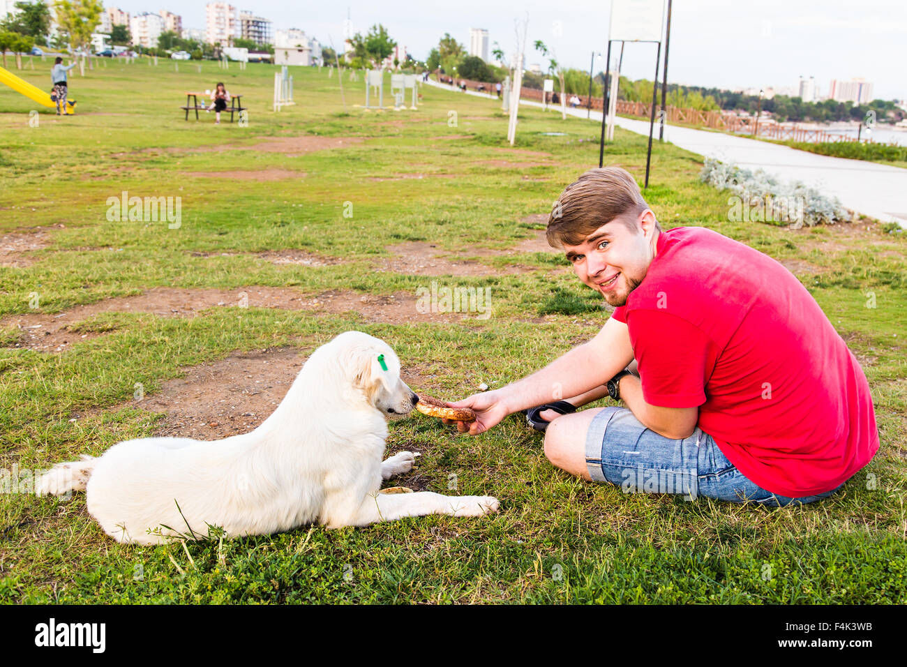 feeding homeless dog Stock Photo Alamy