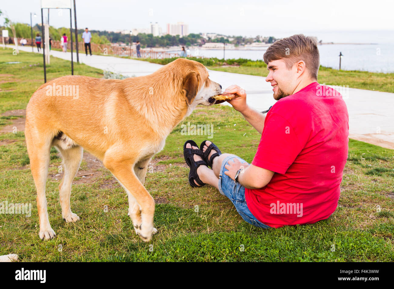 feeding homeless dog Stock Photo Alamy