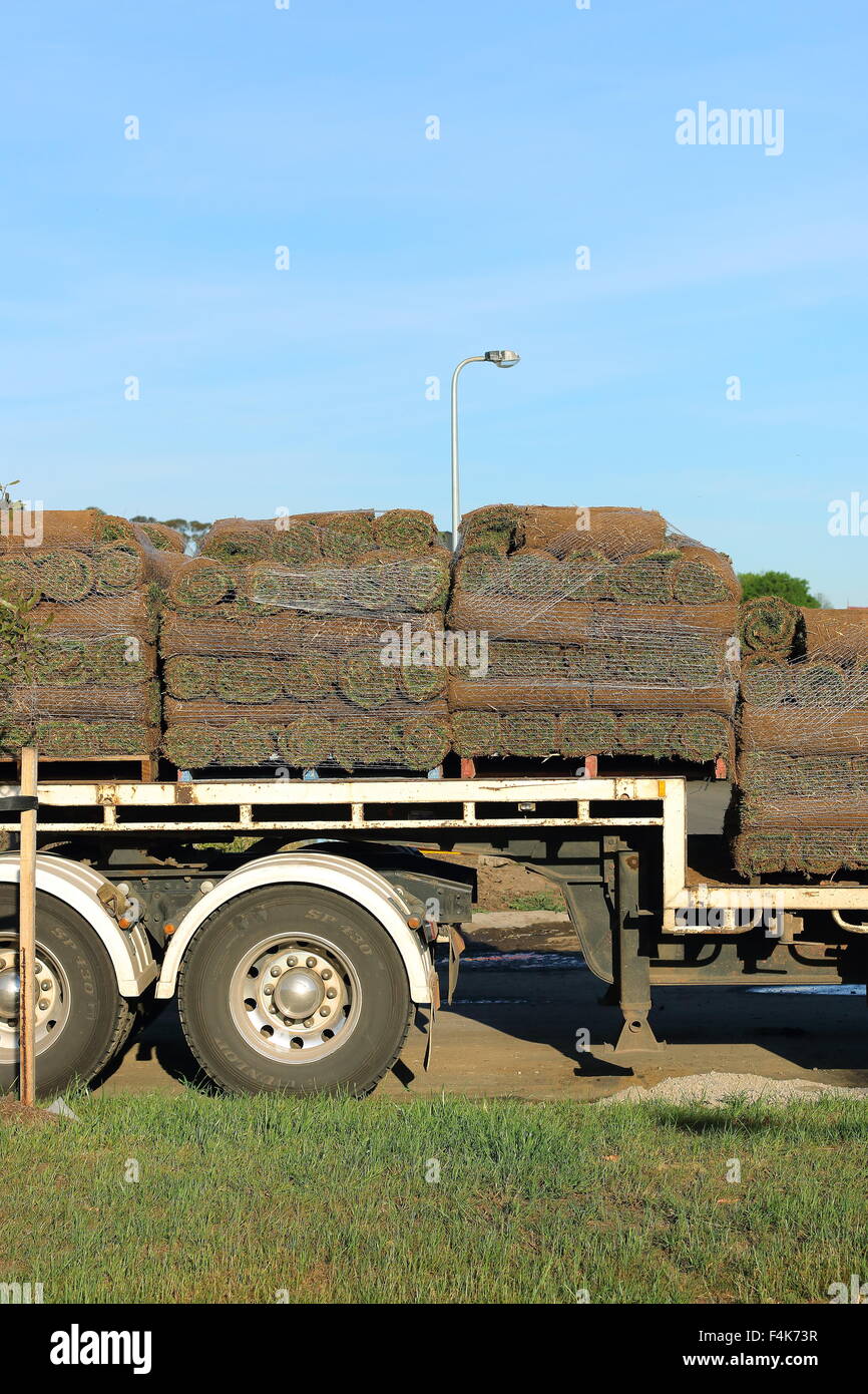 Grass turf rolls stacked together on a truck ready for delivery Stock Photo