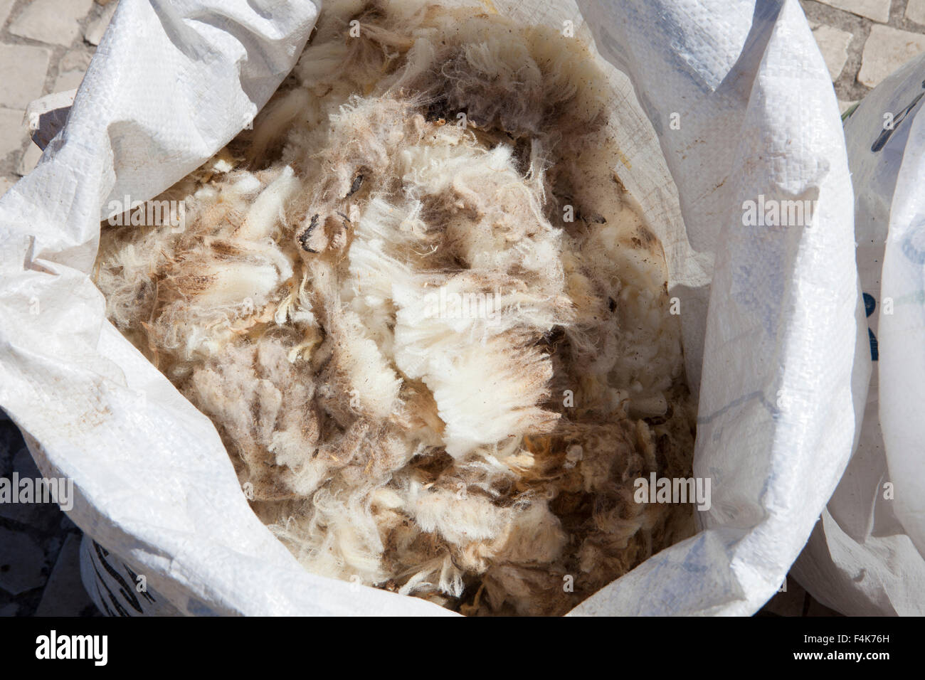 Sack full of wool of the fleece from sheeps Stock Photo