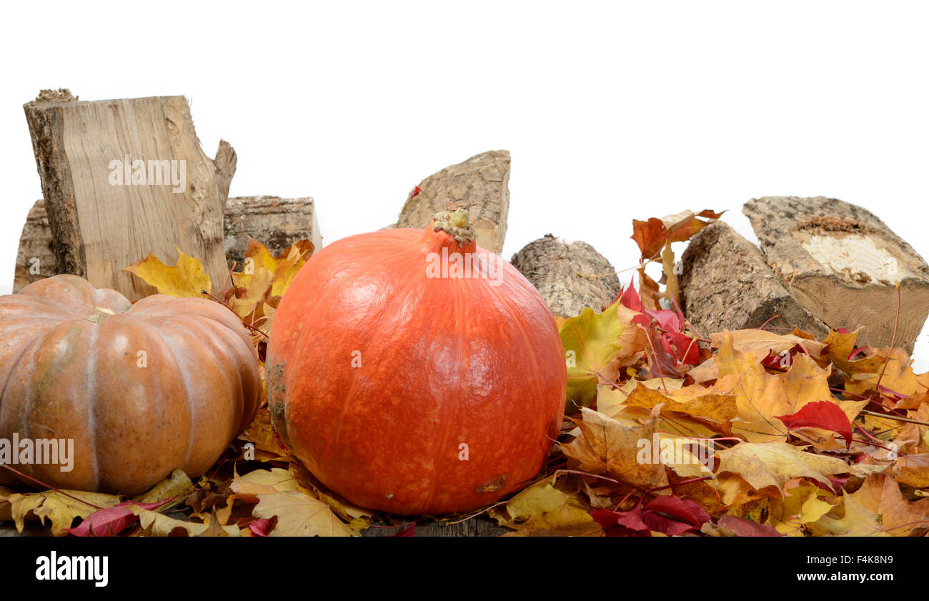 several pumpkins on autumn leaves on a white background Stock Photo - Alamy