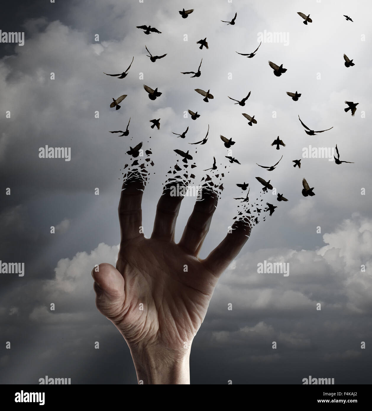 Life transformation concept as a hand reaching out tranforming into flying birds following sunlight as a freedom symbol of hope Stock Photo