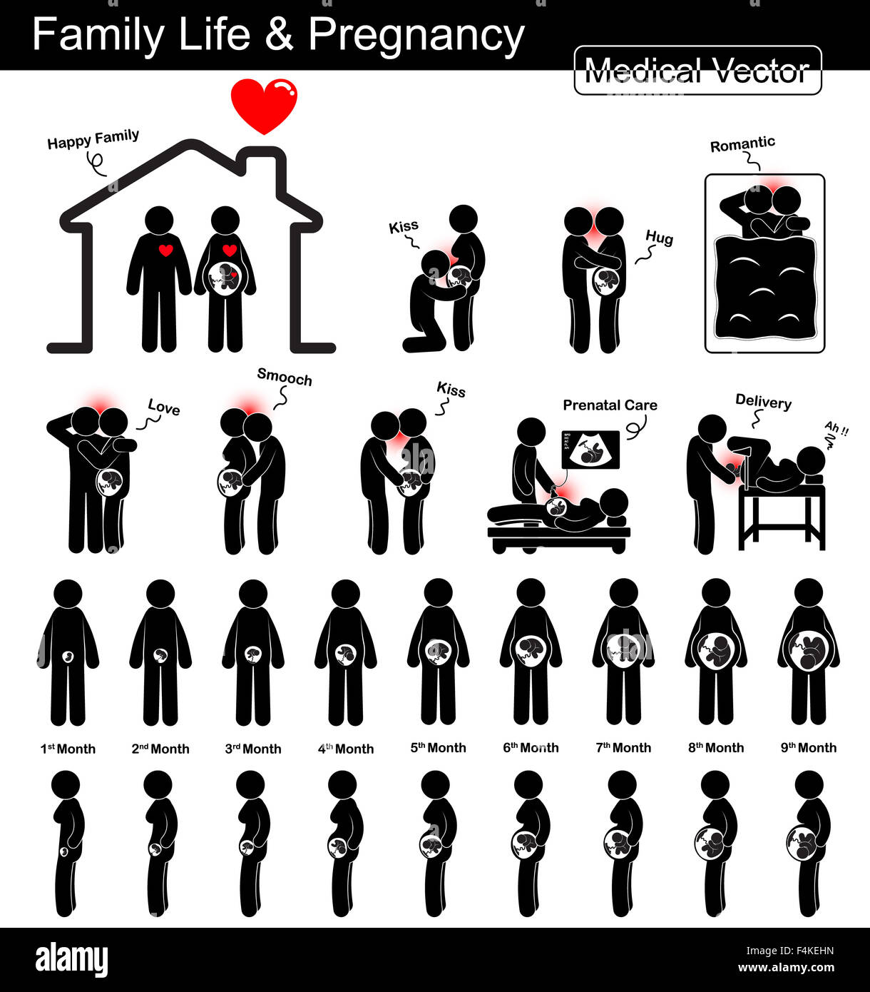 Family life during pregnancy and Fetal development ( pregnant woman and