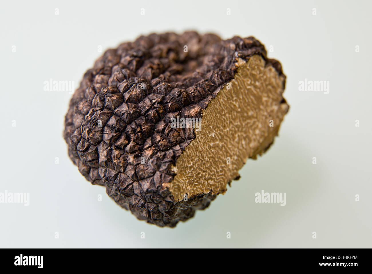 Veitshoechheim, Germany. 14th Oct, 2015. A burgundy truffle lies on a table at the Bavarian state institute for viniculture and horticulture (Bayerische Landesanstalt fuer Weinbau und Gartenbau) (LWG) in Veitshoechheim, Germany, 14 October 2015. Experts at the LWG are studying how truffles can be reliably cultivated. In order to do this, test plants, usually hazelnut, are inoculated with truffle spores. PHOTO: DANIEL KARMANN/DPA/Alamy Live News Stock Photo