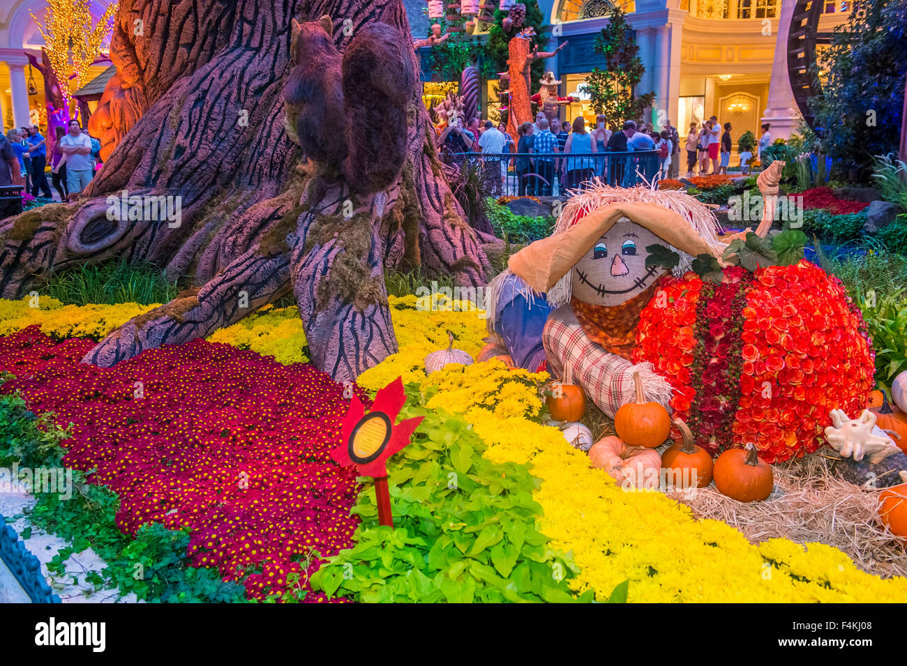 Fall season in Bellagio Hotel Conservatory & Botanical Gardens in Las Vegas Stock Photo