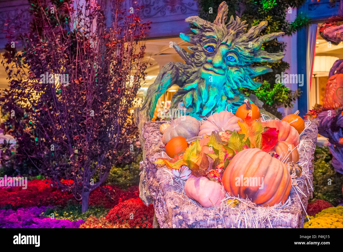 Fall season in Bellagio Hotel Conservatory & Botanical Gardens in Las Vegas Stock Photo