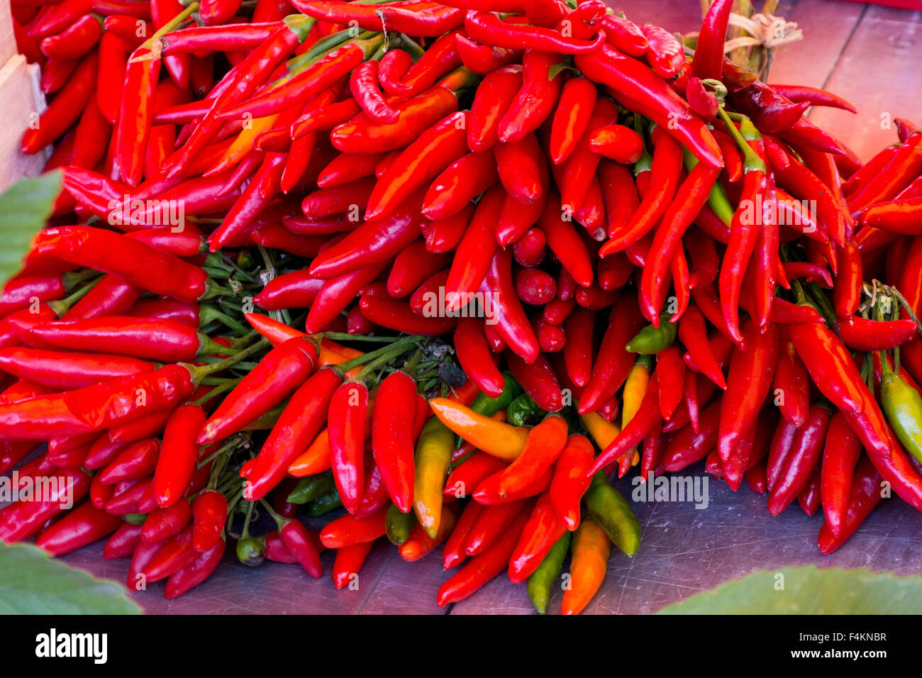 Italy, Piemonte, Fiera del Tartufo di Alba: red chiles. Stock Photo