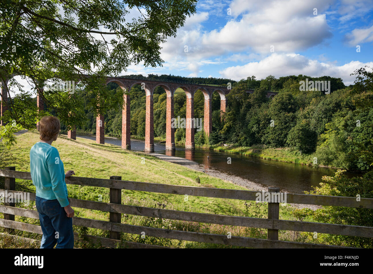Leaderfoot railway viaduct over river Tweed, Melrose, Borders, Scotland Stock Photo