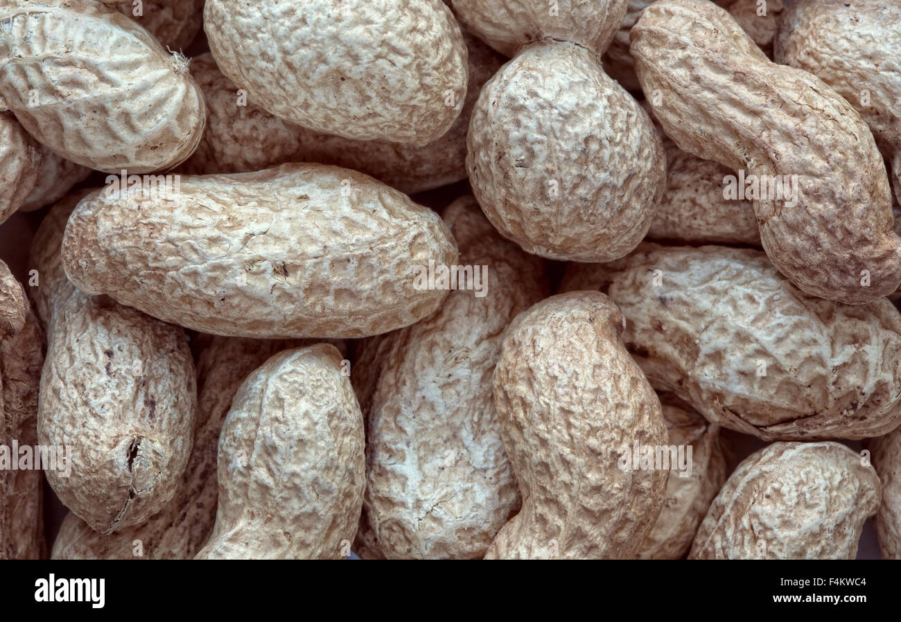 roasted peanuts in their shells Stock Photo Alamy