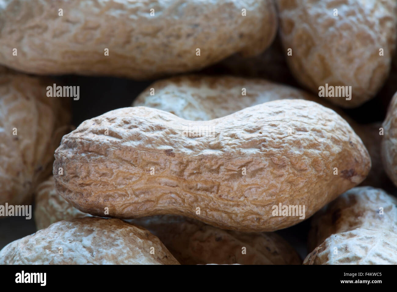 roasted peanuts in their shells Stock Photo Alamy